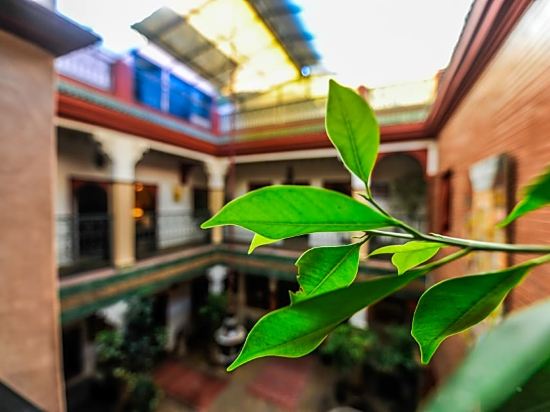 Riad Errabii - Tap to explore photos