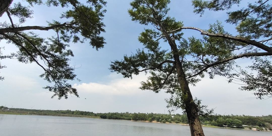 张北县天外居山庄特色民宿(草原天路2号分店)