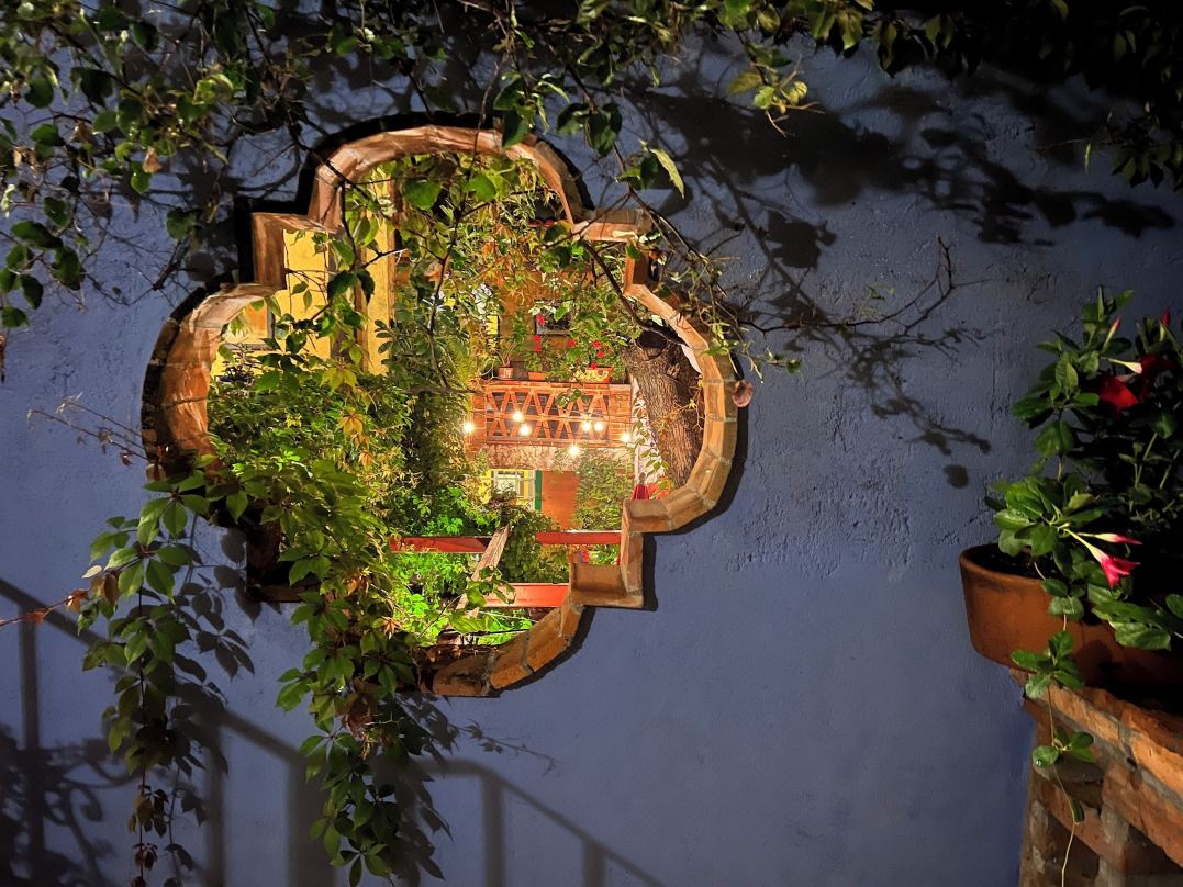 Casa Camellia