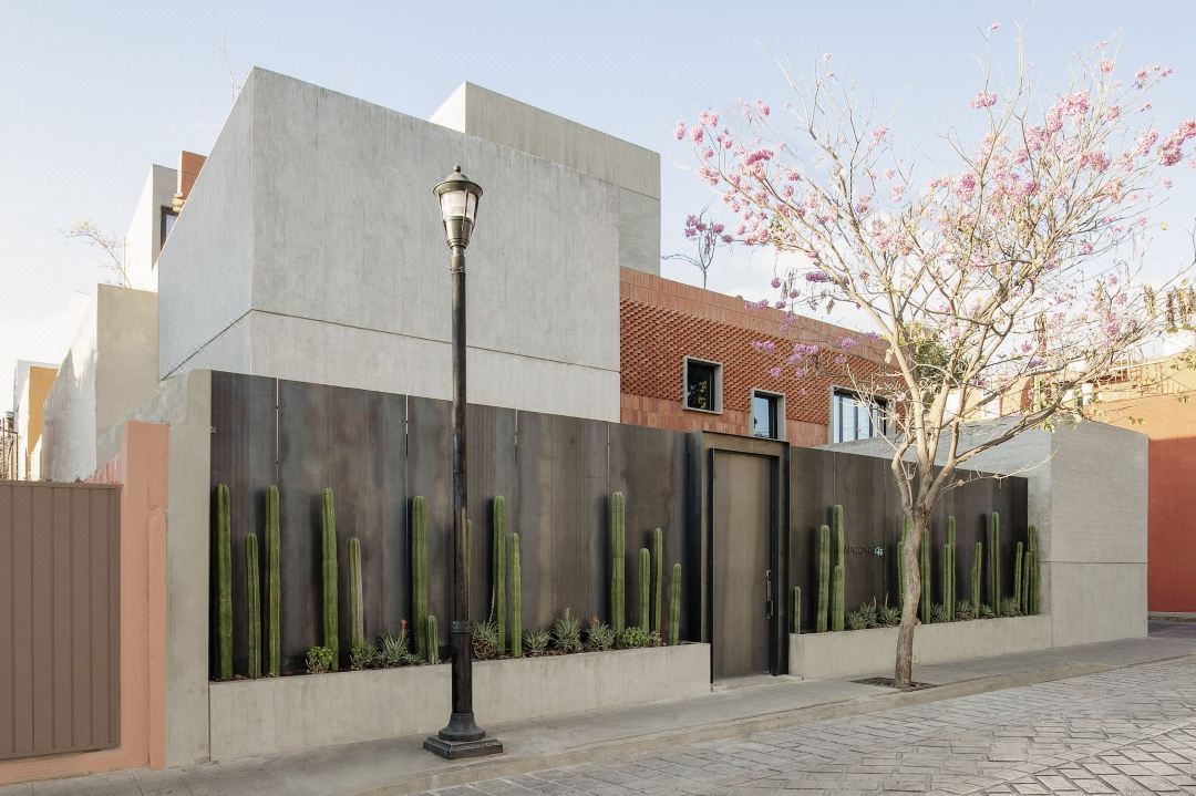Macondo Arte Oaxaca