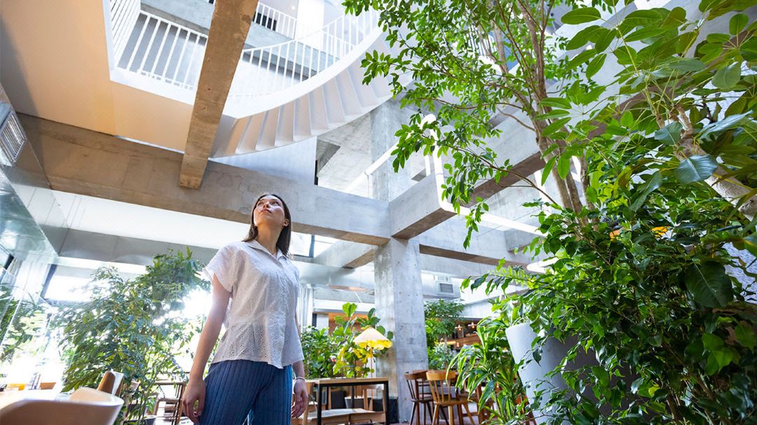 Shiroiya Hotel