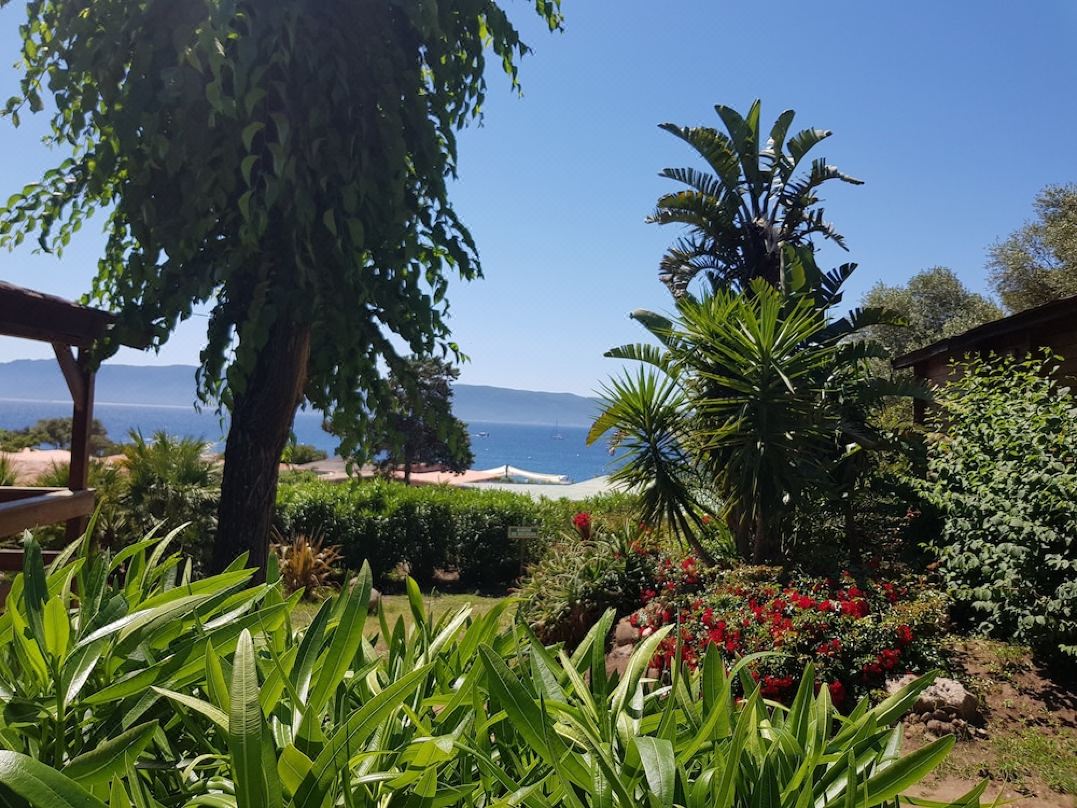 Mare E Monti