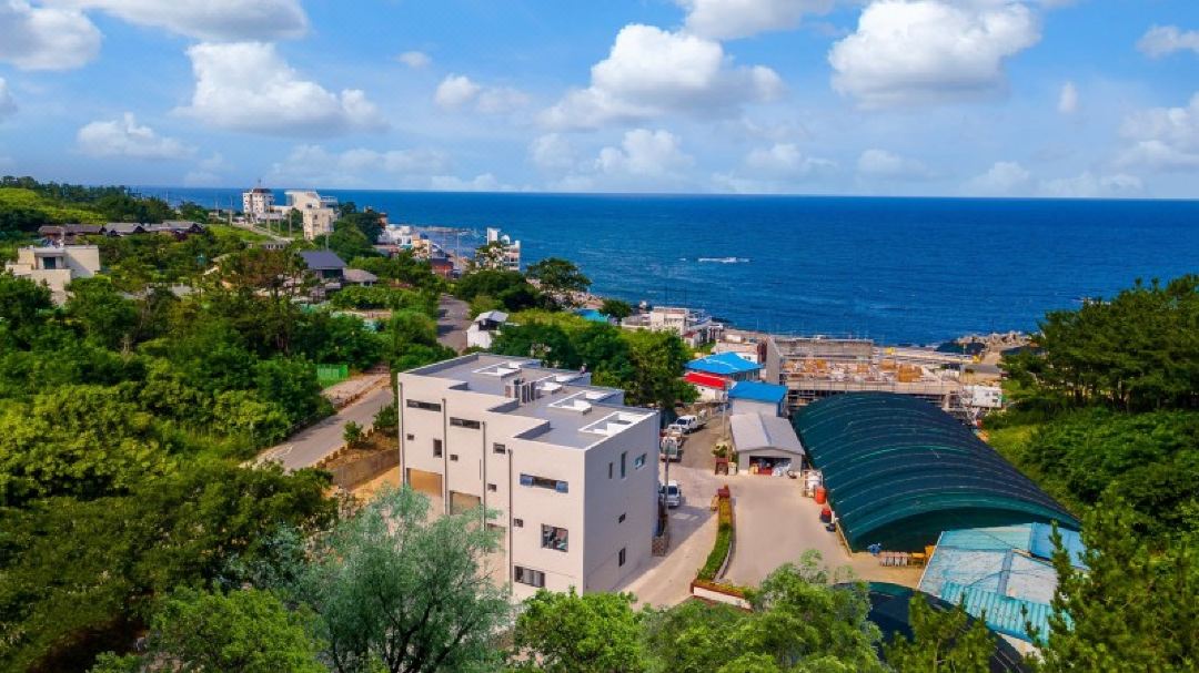 Pohang Ocean Navid Pool Villa (Dog Friendly, Less Than 10km, Dog Breed Inquiry)