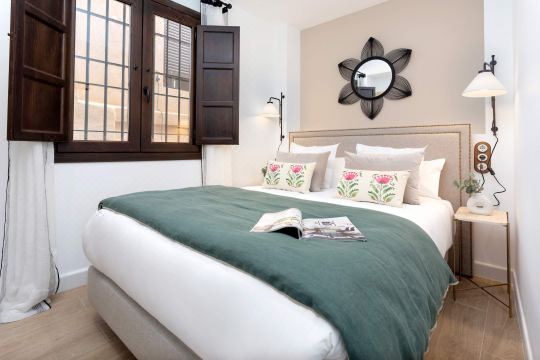 Exclusive apartment in Granada. Horno Marina 11