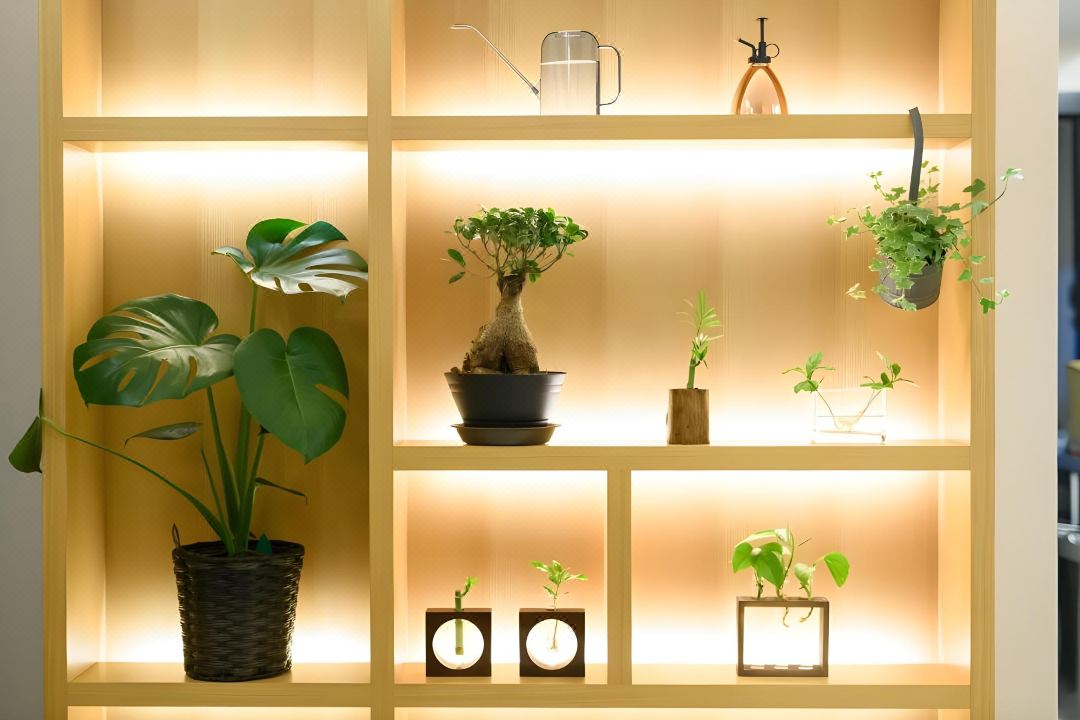 Oyado Shinmachi Gojo