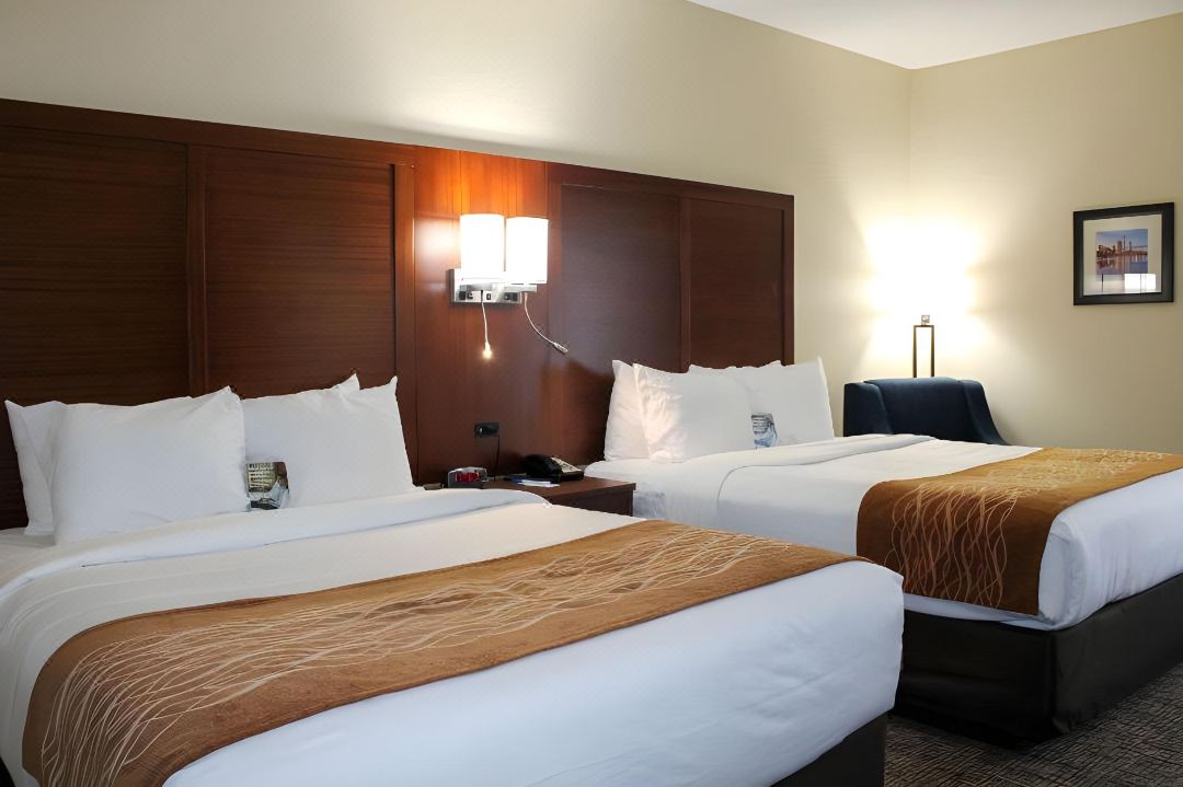 Comfort Inn & Suites Fultondale Gardendale I-65