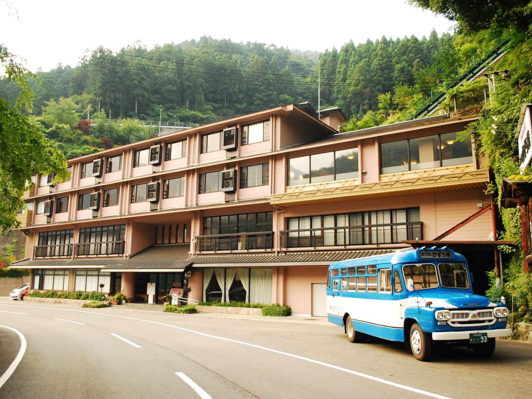 湯元新祖谷溫泉蔓橋飯店