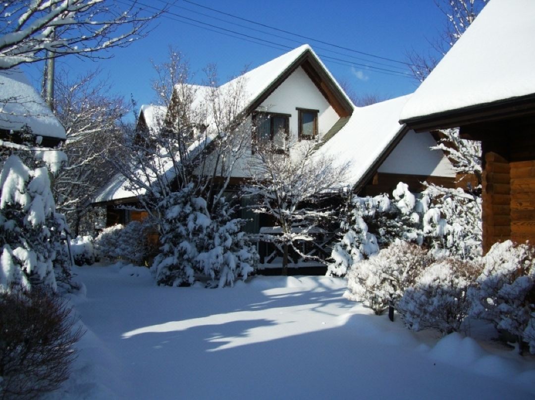 Karuizawa Log Hotel Shiozawa No Mori