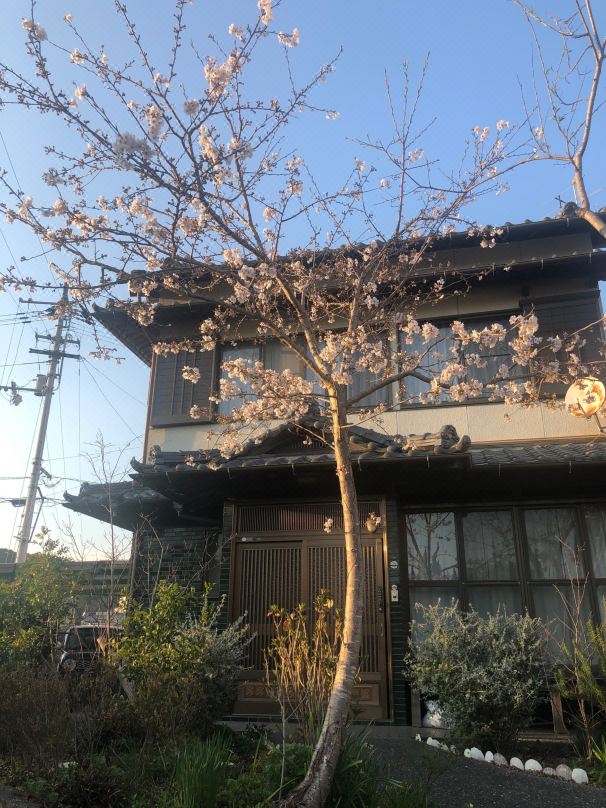 女性専用ゲストハウスお遍路ハウス33