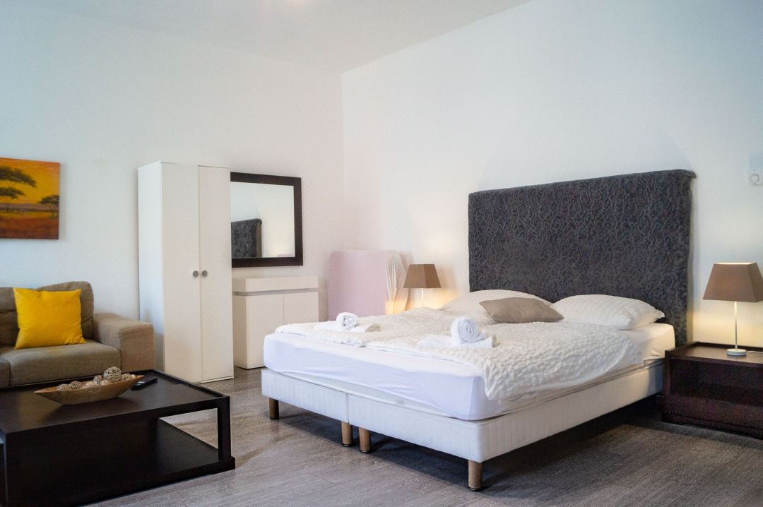 Modern Apartment in the Heart of Vienna 8
