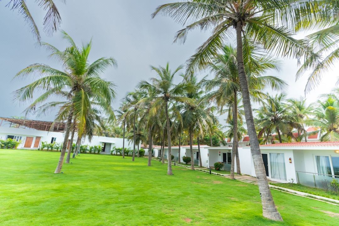 Shelter Beach Resort
