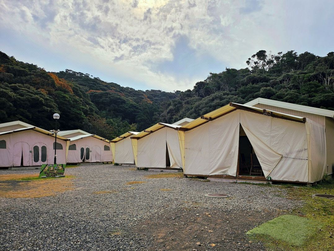 Sloth Glamping