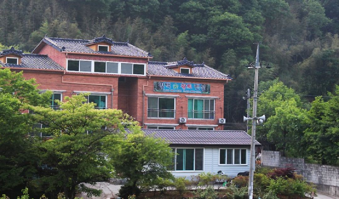 Wanju Cypress Forest Ocher Pension