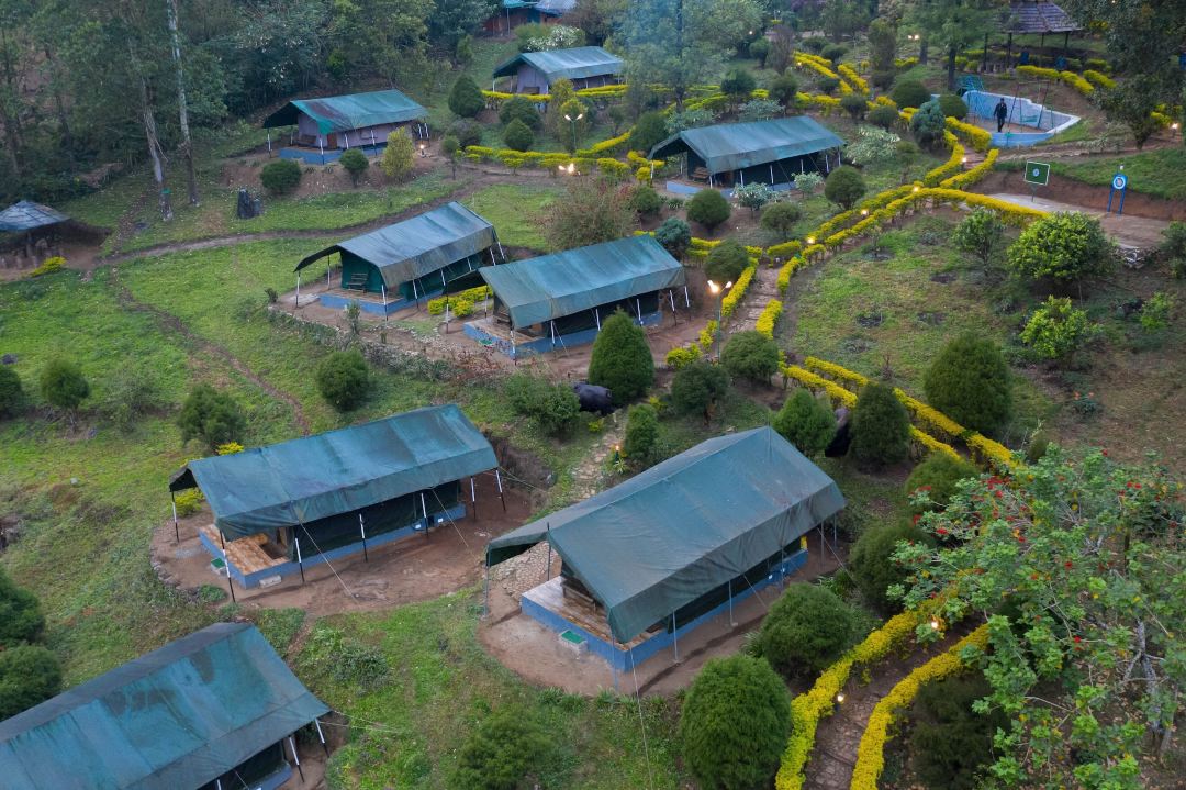 Nature Zone Resort Munnar - Tree House, Luxury Tents, Munnar