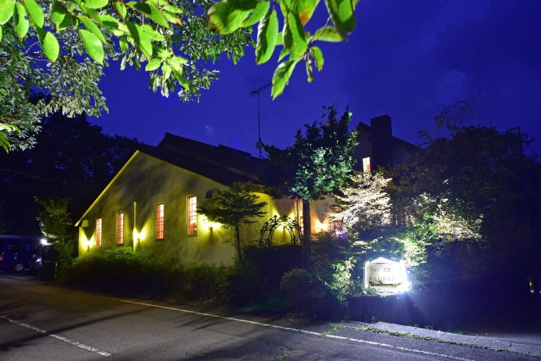 เดอะ แพเจียนท์