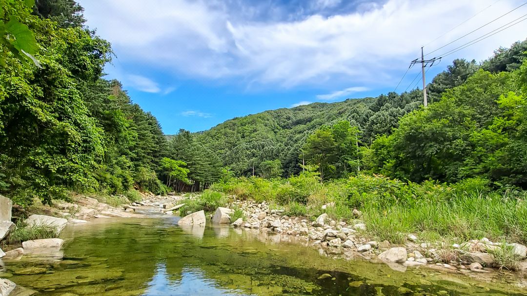 Hwacheon Pine Valley Pension