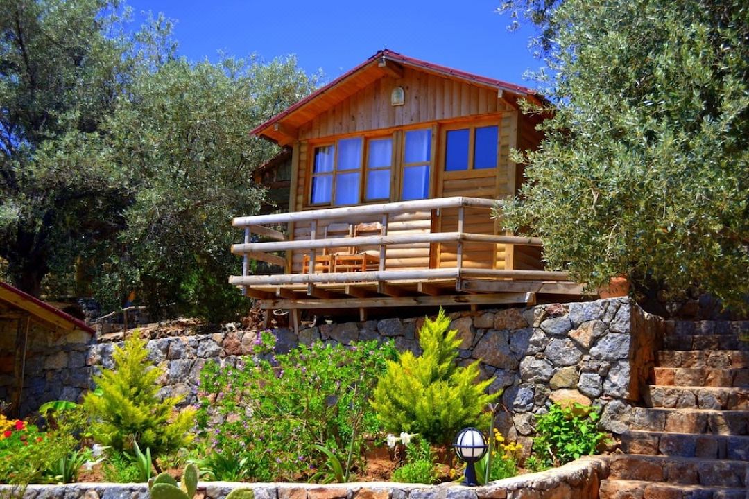 Olive Garden Kabak
