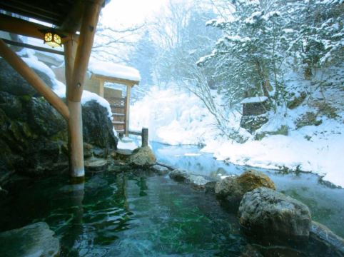 Honke Bankyu - Tap to explore photos