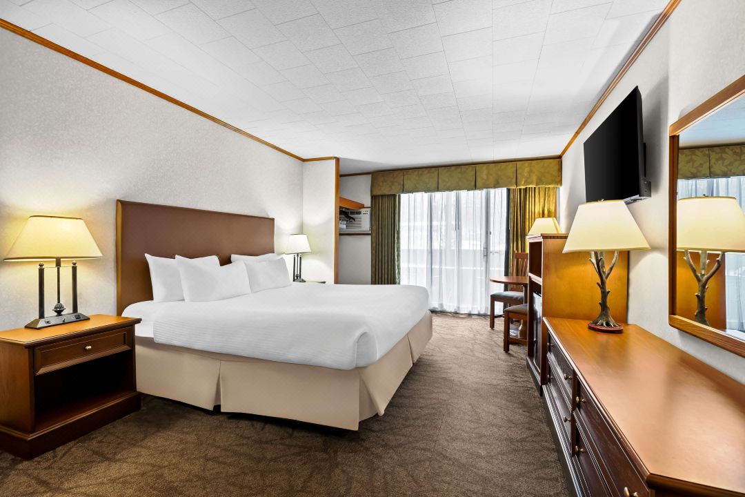 Best Western Adirondack Inn