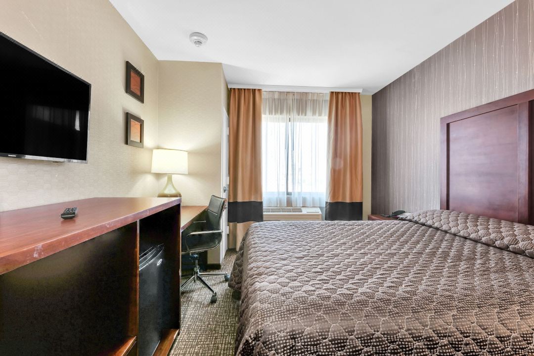 Hotel Moca NYC