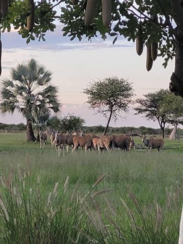 Fiume Lodge CC, P O Box 20757, Windhoek