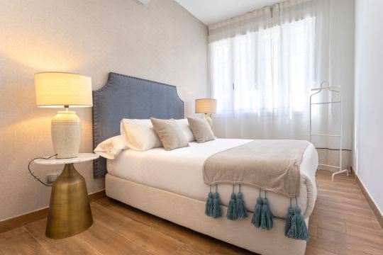 Beautiful apartment in the city center. Recaredo I