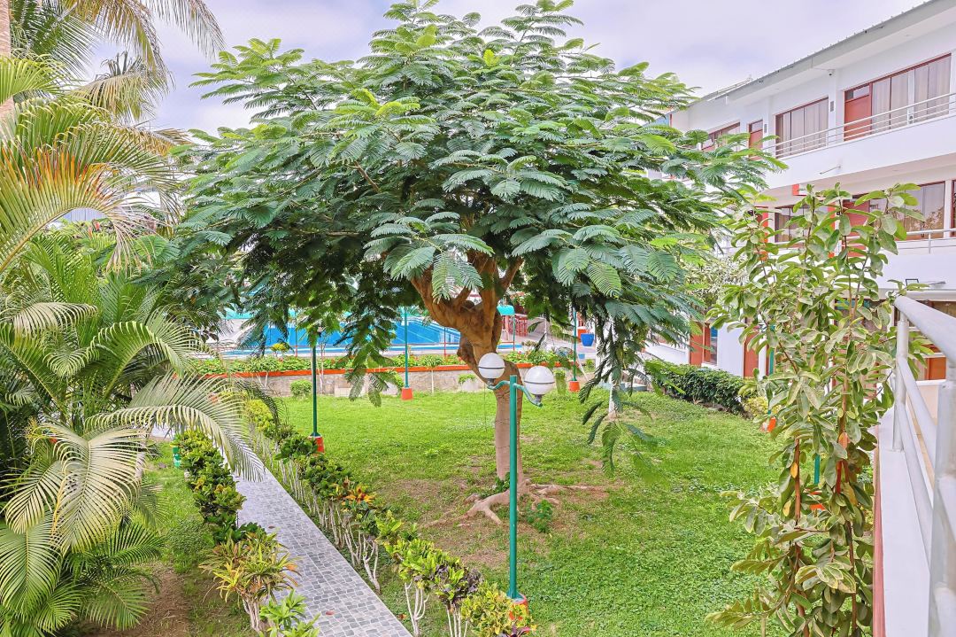 Las Poncianas