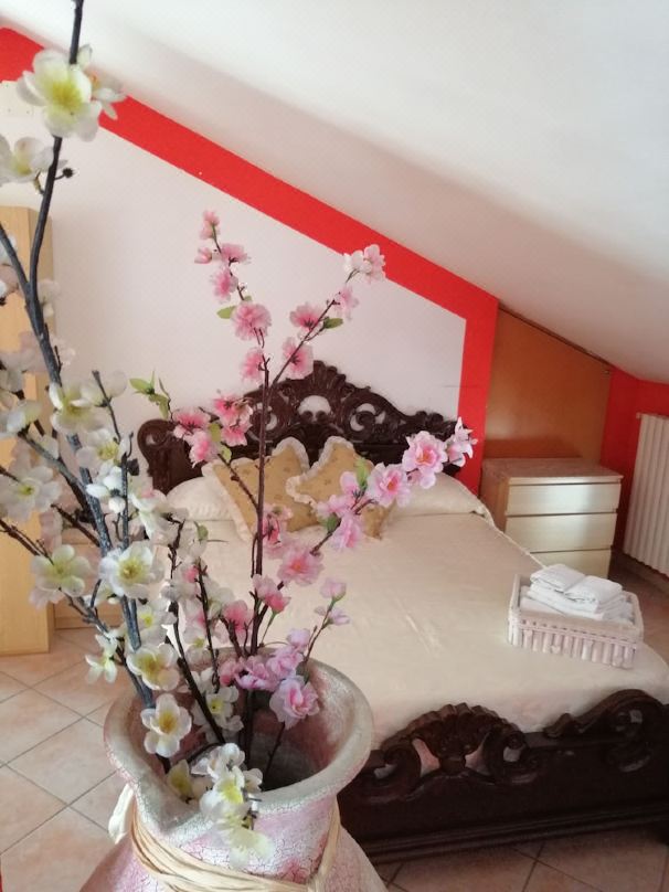 B&B Moscani