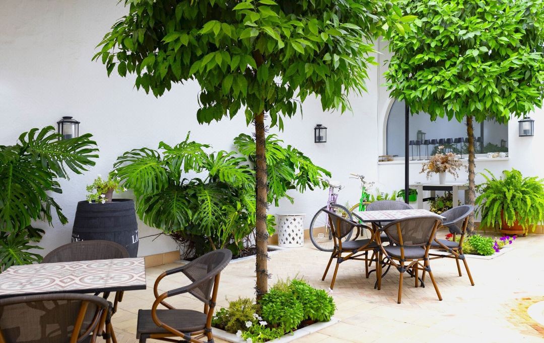 Albariza Hotel Boutique