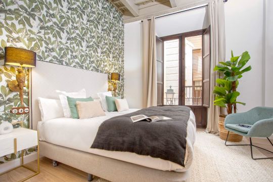 Exclusive apartment in Granada center. Horno Marina 3