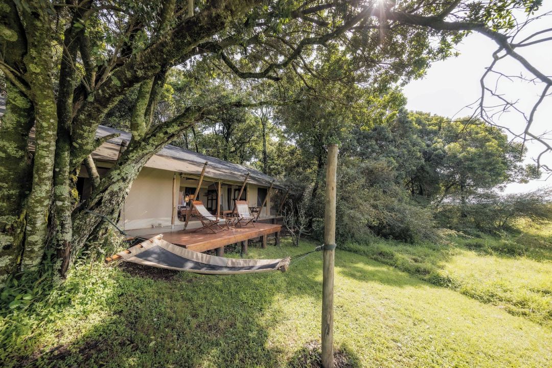 Elephant Pepper Camp