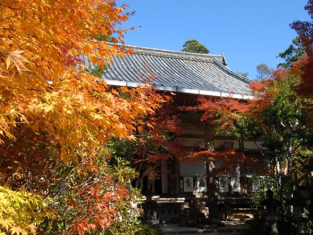 Momijiya Honkan Takaosansou