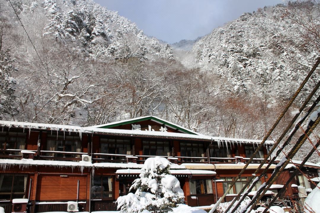 Shinzanso