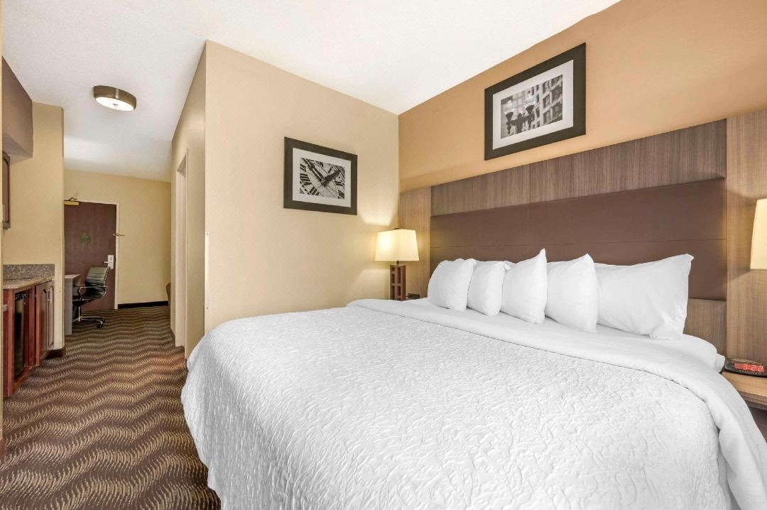 Quality Suites