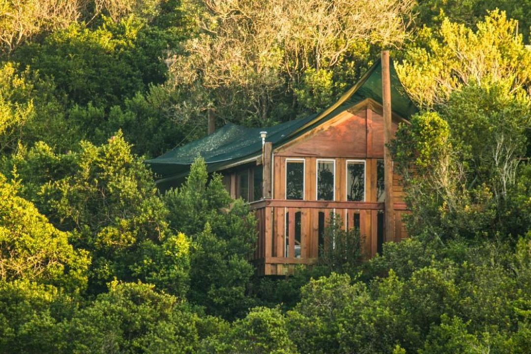 Teniqua Treetops