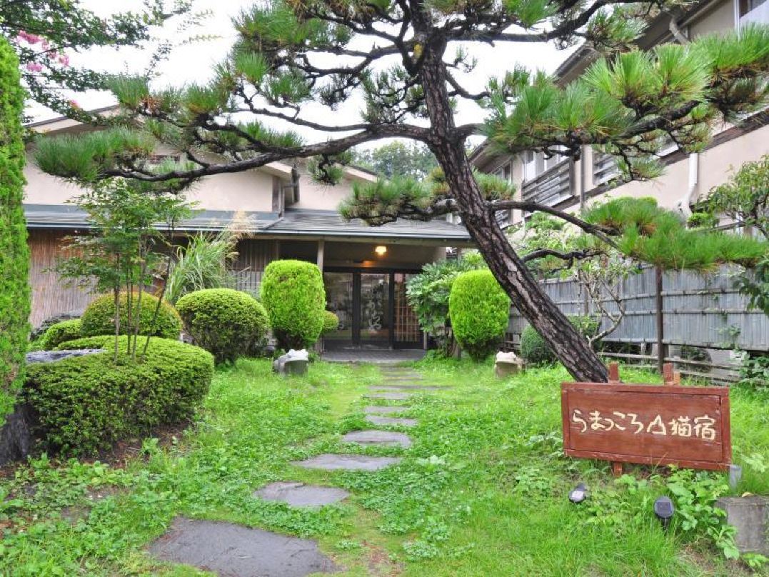 Kaziya別館Ramatkor山貓宿