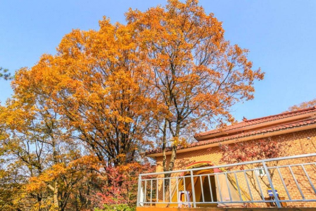 Yongin Deep in Mountain Pension