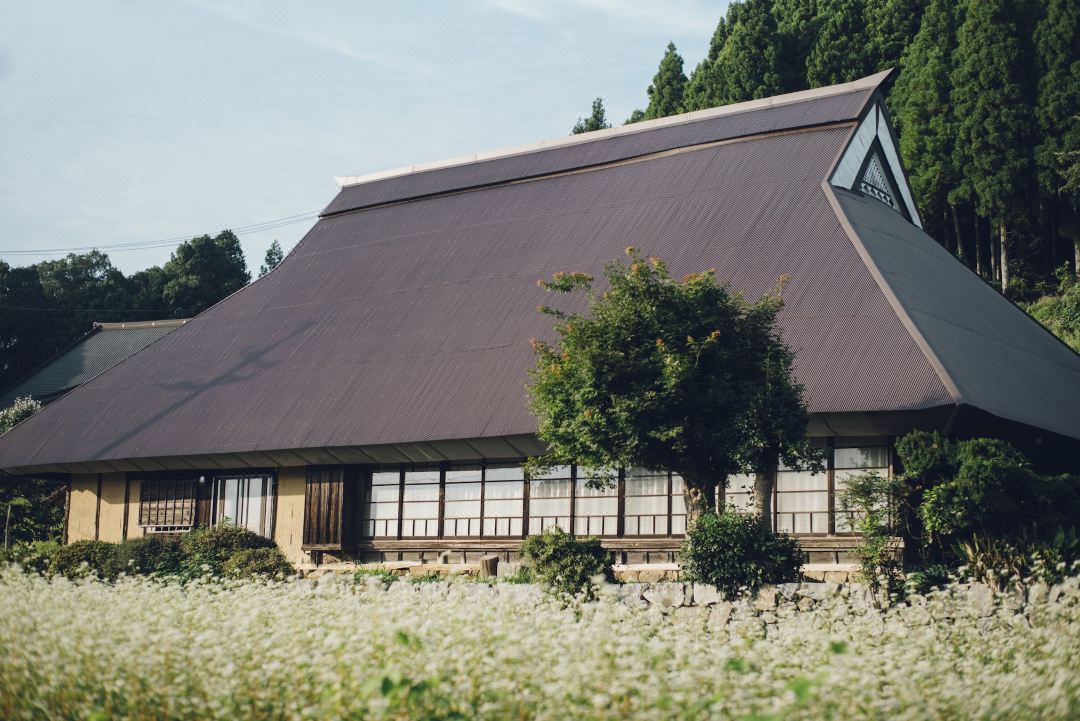 Setouchi Cominca Stays Hiroshima Chojaya