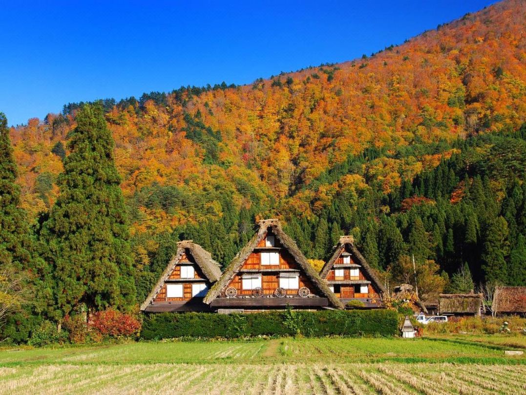 이치리노 코겐 호텔 로안