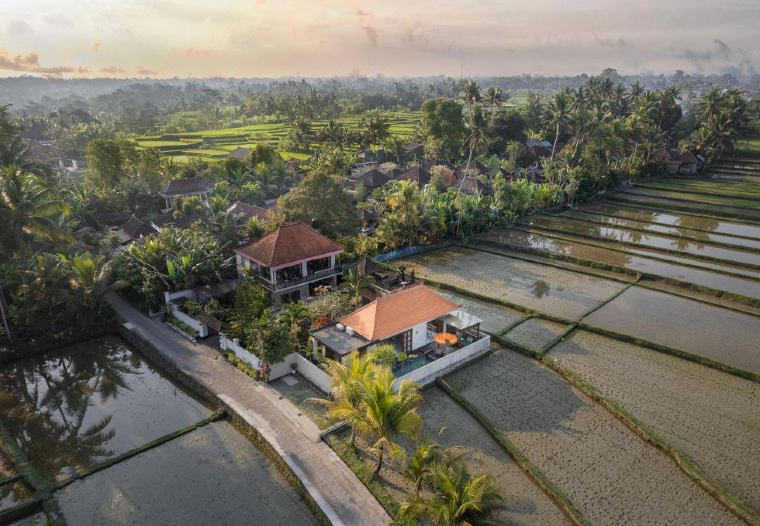 Dijero at Umah Bali