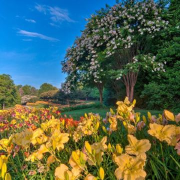 美国亚特兰大-小城 -地下瀑布-登山小火车【中文包车自由行】 美国亚特兰大-小城 -地下瀑布-登山小火车【中文包车自由行】