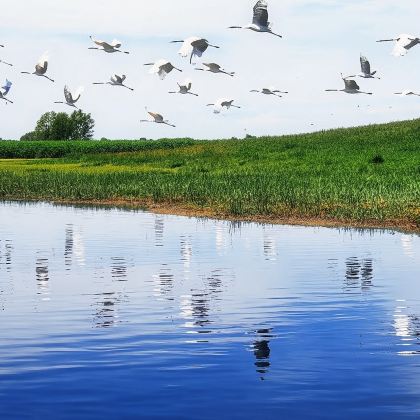 齐齐哈尔市游+扎龙+大乘寺一日活动 齐齐哈尔市游+扎龙+大乘寺一日活动
