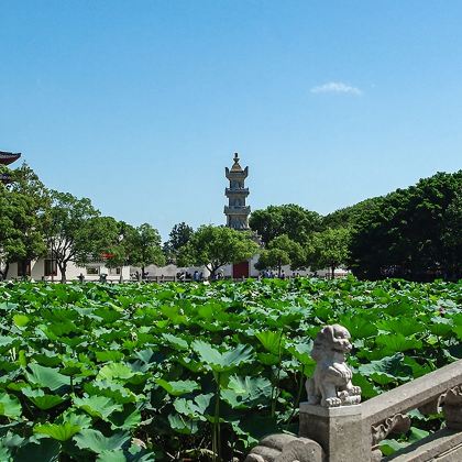 舟山普陀山风景区一日游【 全程土著导游解说 含车船大门票 】 舟山普陀山风景区一日游【 全程土著导游解说 含车船大门票 】
