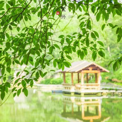 宜兴善卷洞一日游 宜兴善卷洞一日游