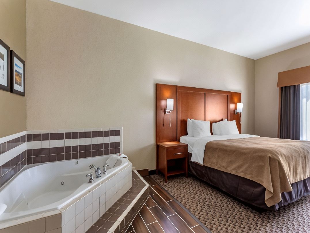 Comfort Inn & Suites Carbondale University Area