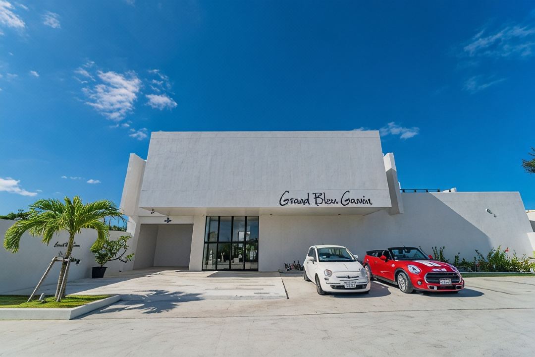 그랜드 블루 가민