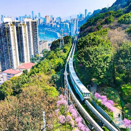 重庆长江索道+磁器口古镇+李子坝轻轨一日游【纯玩8人团】 重庆长江索道+磁器口古镇+李子坝轻轨一日游【纯玩8人团】