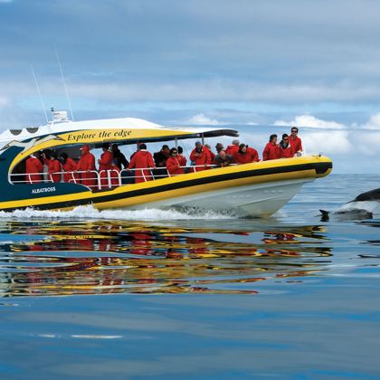 塔斯马尼亚塔斯曼岛3小时野外巡游【可选亚瑟港/恶魔动物园】 塔斯马尼亚塔斯曼岛3小时野外巡游【可选亚瑟港/恶魔动物园】