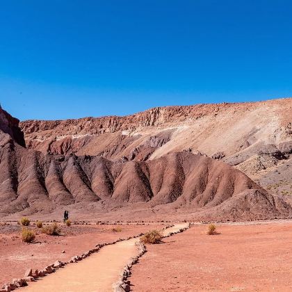 智利阿塔卡马沙漠一日游【私家包车】 智利阿塔卡马沙漠一日游【私家包车】