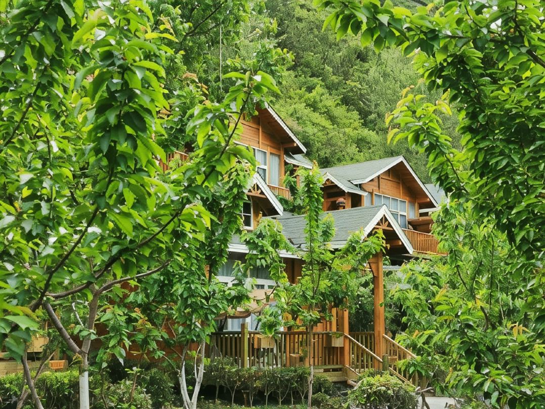 Lixian Muya Starry Sky Wooden Manor